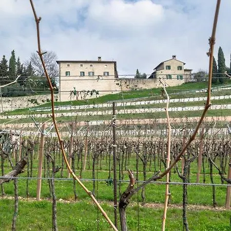 • Il Vigneto Feriehus *