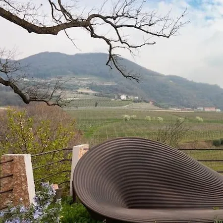 • Il Vigneto * Negrar