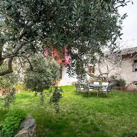 • Il Vigneto Feriehus *