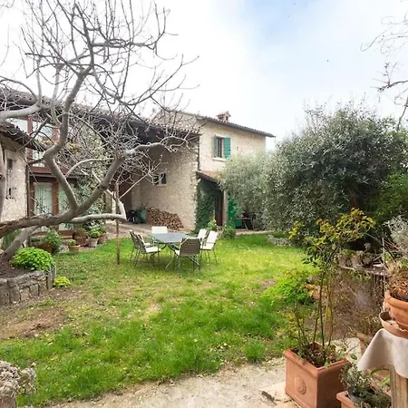 • Il Vigneto