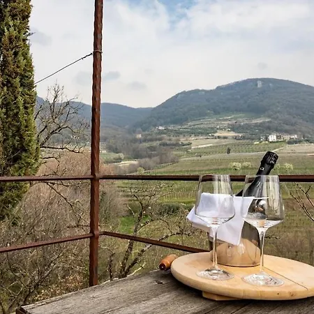 • Il Vigneto Σπίτι διακοπών