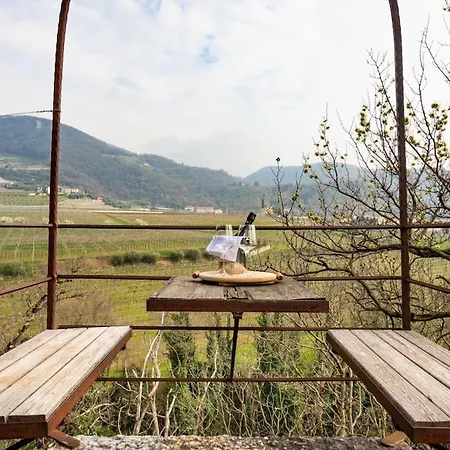 • Il Vigneto * ネグラール