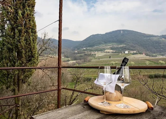 • Il Vigneto Hébergement de vacances