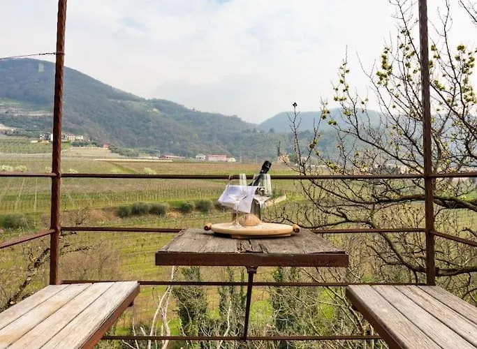 • Il Vigneto * Negrar