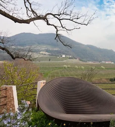 • Il Vigneto * Negrar